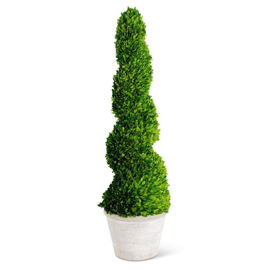 Live preserved spiral boxwood topiary tree - 47" - The Savvy ShopperThe Savvy ShopperVivian Rose ShopHome & Garden > Decor > Artificial FloraLive preserved spiral boxwood topiary tree - 47"